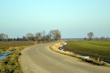 Krajobraz droga asfaltowa wśród pól światło słoneczne. © Monika