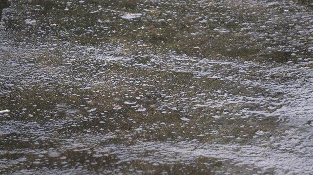 Rain drops falling on concrete road during monsoon season. Indian Monsoon comes in late June. Cinematic rainy weather on city pavement with dramatic splashing.