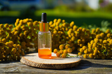 tansy medicinal extract, tincture, decoction, oil, in a small bottle nature © Ирина Старикова