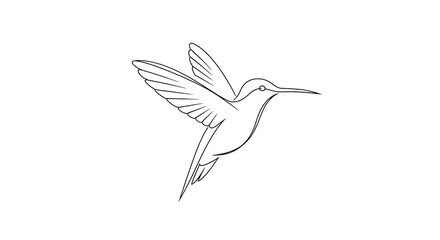 Obraz premium Flying hummingbird bird minimal line art illustration