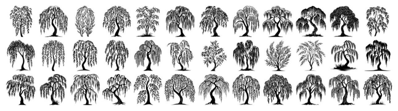 Weeping willow tree vector icon mega set Large collection of black nature and garden plant silhouettes