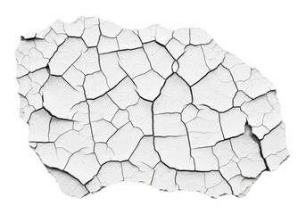 Naklejka premium Intricate network of interconnected lines forming a polygonal mesh structure