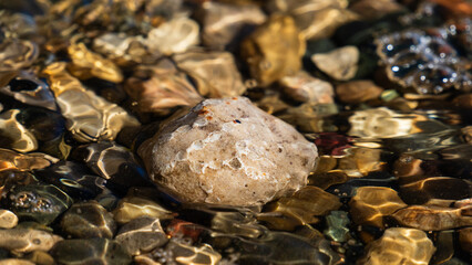 Closeup detail shot of ancient marine life fossils embedded in rock underwater © cb.outside