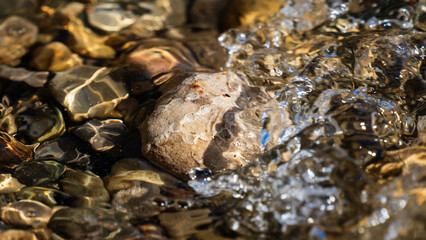 Closeup detail shot of ancient marine life fossils embedded in rock underwater © cb.outside
