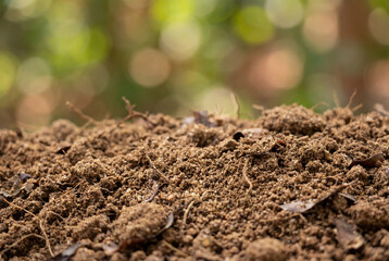 Close up view of rich fertile brown soil texture in garden