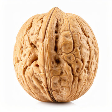 Whole unshelled walnut, white background, closeup. AI