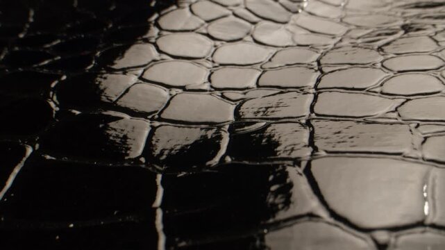 studio shot highlighting reflective crocodile skin textures with high contrast and wet look