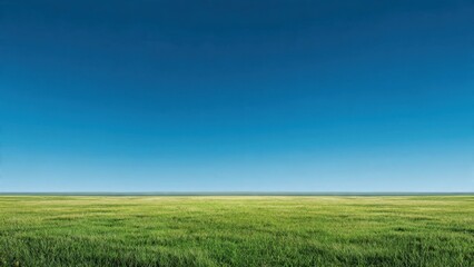 Obraz premium Vast Green Field Under Clear Blue Sky on a Sunny Day