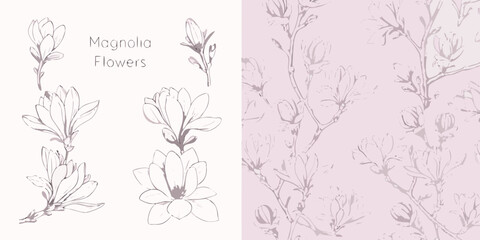 Delicate magnolia flower sketches and a subtle floral patterned background © John Lee