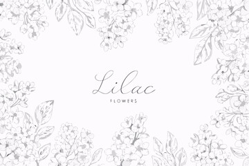 Obraz premium Delicate lilac flower illustration with calligraphy and a soft background