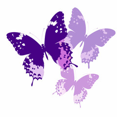 Three purple butterflies with dotted wings in a minimalist style © John Lee