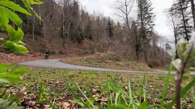 Cyclist descending a curved forest road filmed from a low static camera with greenery around. Dynamic outdoor cycling scene in natural mountain environment.
