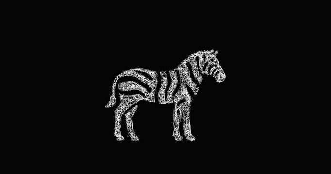 Sketch zebra icon animation - smooth progressive reveal