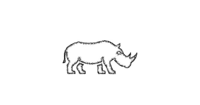 Sketch rhino icon animation - smooth progressive reveal