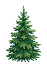 Obraz premium stylized watercolor illustration of a lush green evergreen spruce tree with vibrant emerald and sap green hues, isolated on a transparent background. concept for festive winter holiday design