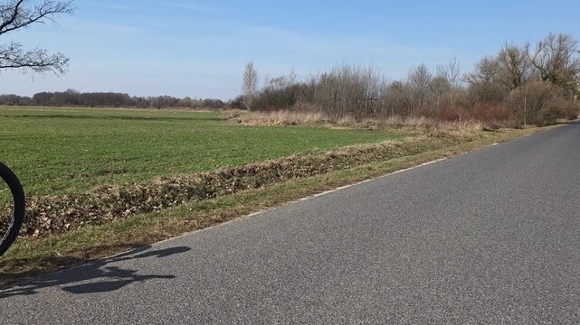 droga polana asfalt rower koło tylne 