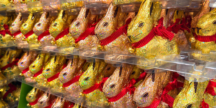 Heidelberg, Germany - March 14 2026: Group of traditional chocolate Easter bunnies in gold foil, colorful ribbon, and bell of a Lindt Gold Bunny on display in a trendy gift shop for the spring holiday