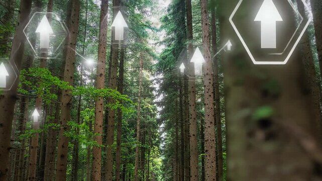 Financial growth chart on a forest path representing sustainable investment strategy green business road and ecological success concept