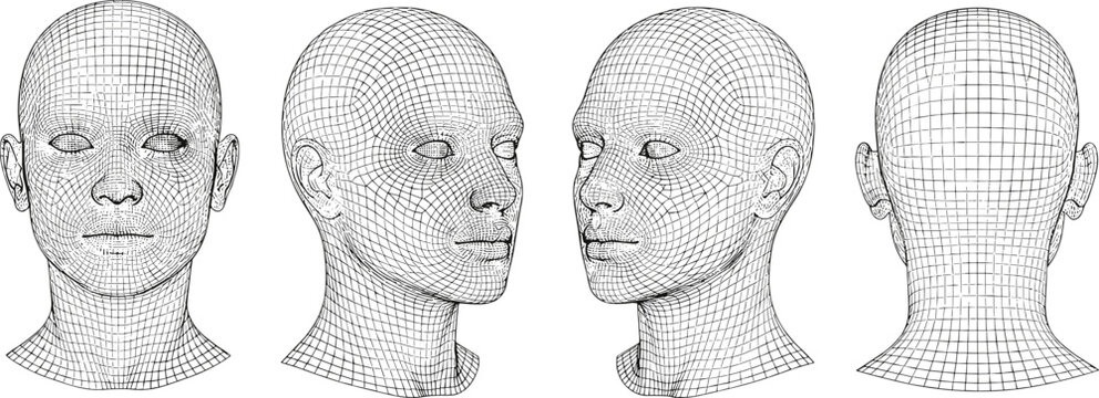 Vector illustration of 3D human head wireframe model shown from multiple angles for graphics and animation design