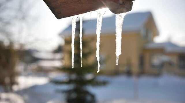 Icicles melting on a roof gutter with a snowy winter landscape and house