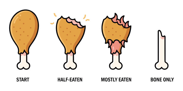 Fried chicken drumstick eating stages. Progression from whole to bite marks, half-eaten, mostly eaten, and bare bone