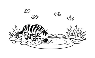 Fototapeta premium Cute cartoon zebra drinking water from a pond with birds flying overhead