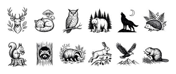 Fototapeta premium Hand-drawn forest animal illustrations set in a vintage engraving style featuring a deer, fox, bear, wolf, owl, and other woodland creatures for a classic, natural design element