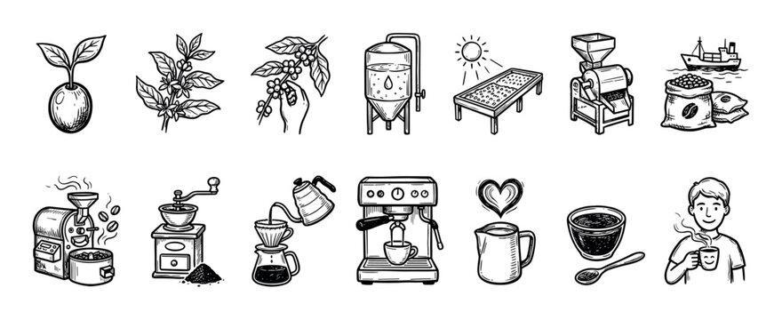 Set of hand-drawn coffee production icons showing the entire process from bean to cup, including planting, harvesting, roasting, grinding, and brewing in a vintage sketch style