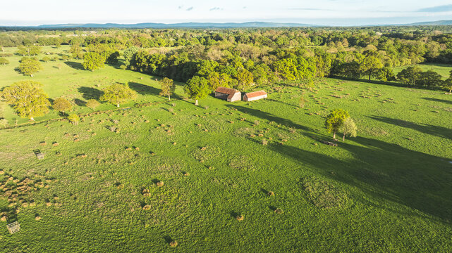 Aerial view of a lush green meadow with scattered trees and distant farm buildings