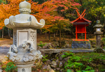 Near Kasuga Taisha Grand Shrine