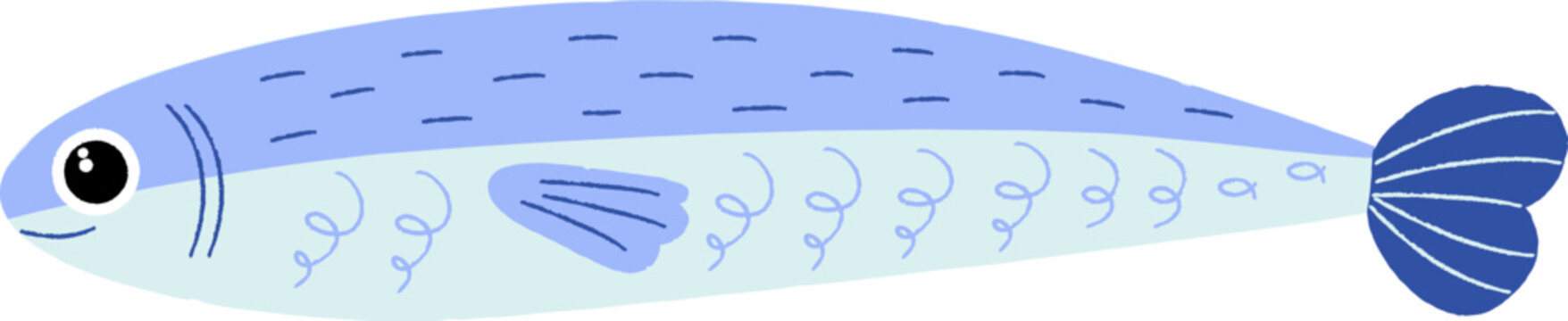Sardines Sea Fish Hand Drawn