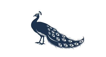 Obraz premium Navy blue silhouette of a peacock standing in profile view with a long trailing tail featuring stylized eye patterns. Decorative bird vector illustration isolated on white background.