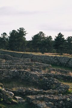 Processed with VSCO with  preset