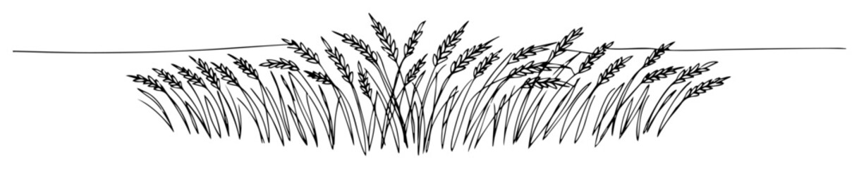 Fototapeta premium wheat field line drawing in minimalist style