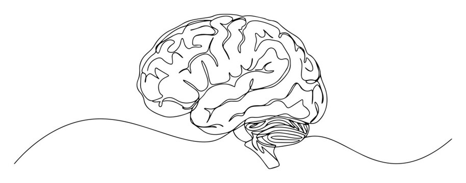 brain line art in side view with wave line