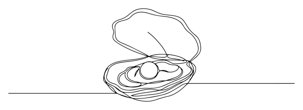 oyster shell with pearl in line drawing