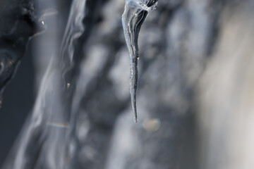 つらら © makieni