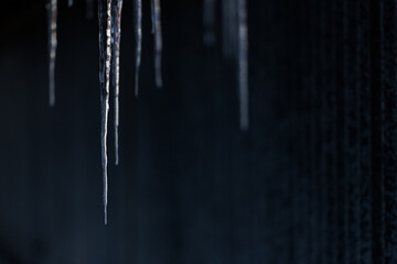 つらら © makieni