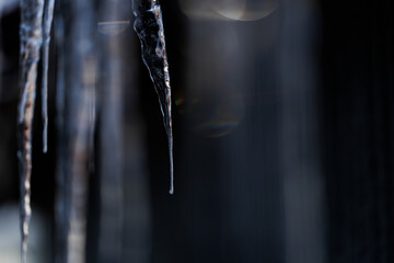 つらら © makieni