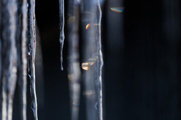 つらら © makieni