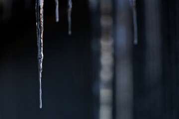 つらら © makieni