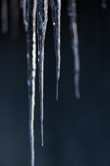 つらら © makieni