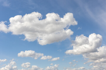 Obraz premium White cumulus clouds drift across bright blue sky calm atmospheric landscape peaceful weather background. Soft sunlight illuminates cloud shapes forming airy natural pattern open summer atmosphere