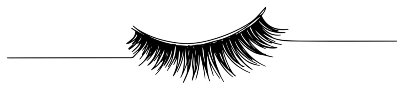 false eyelash vector line illustration