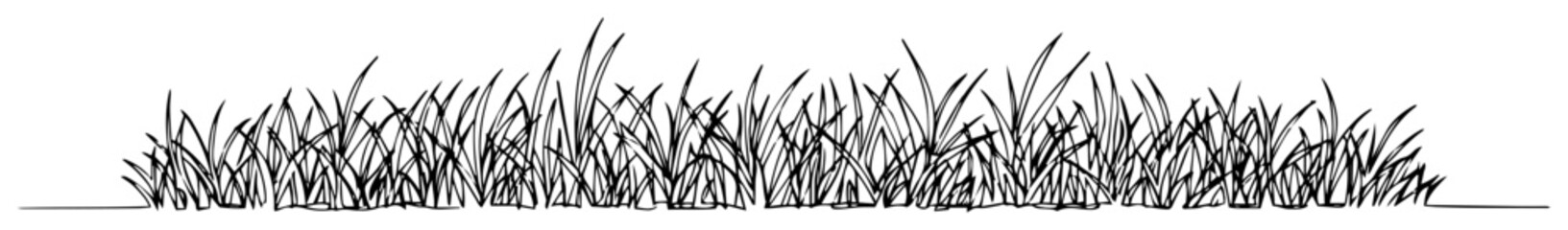lawn grass patch vector line art © Wieslaw