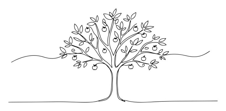 fruit tree with leaves line drawing