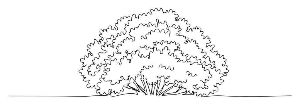 bushy shrub plant garden line art
