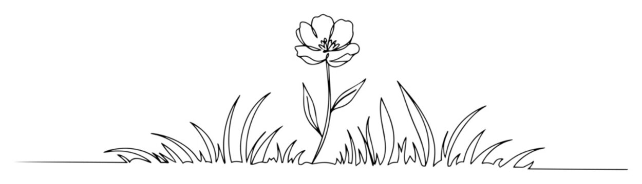 single flower in grass line vector drawing