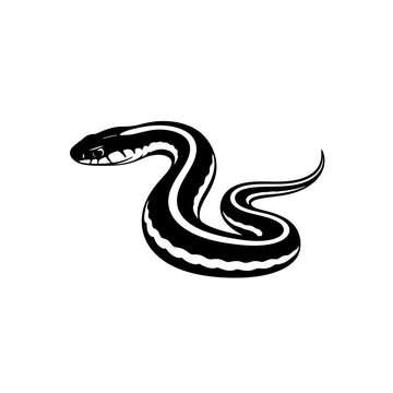 Black and white illustration of a striped snake on a white background.