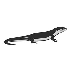 Obraz premium Black and white illustration of a lizard isolated on white background.